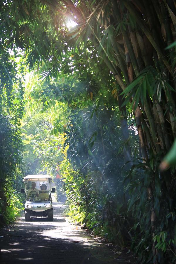 Artist Village By Pramana Watu Kurung ウブド エクステリア 写真